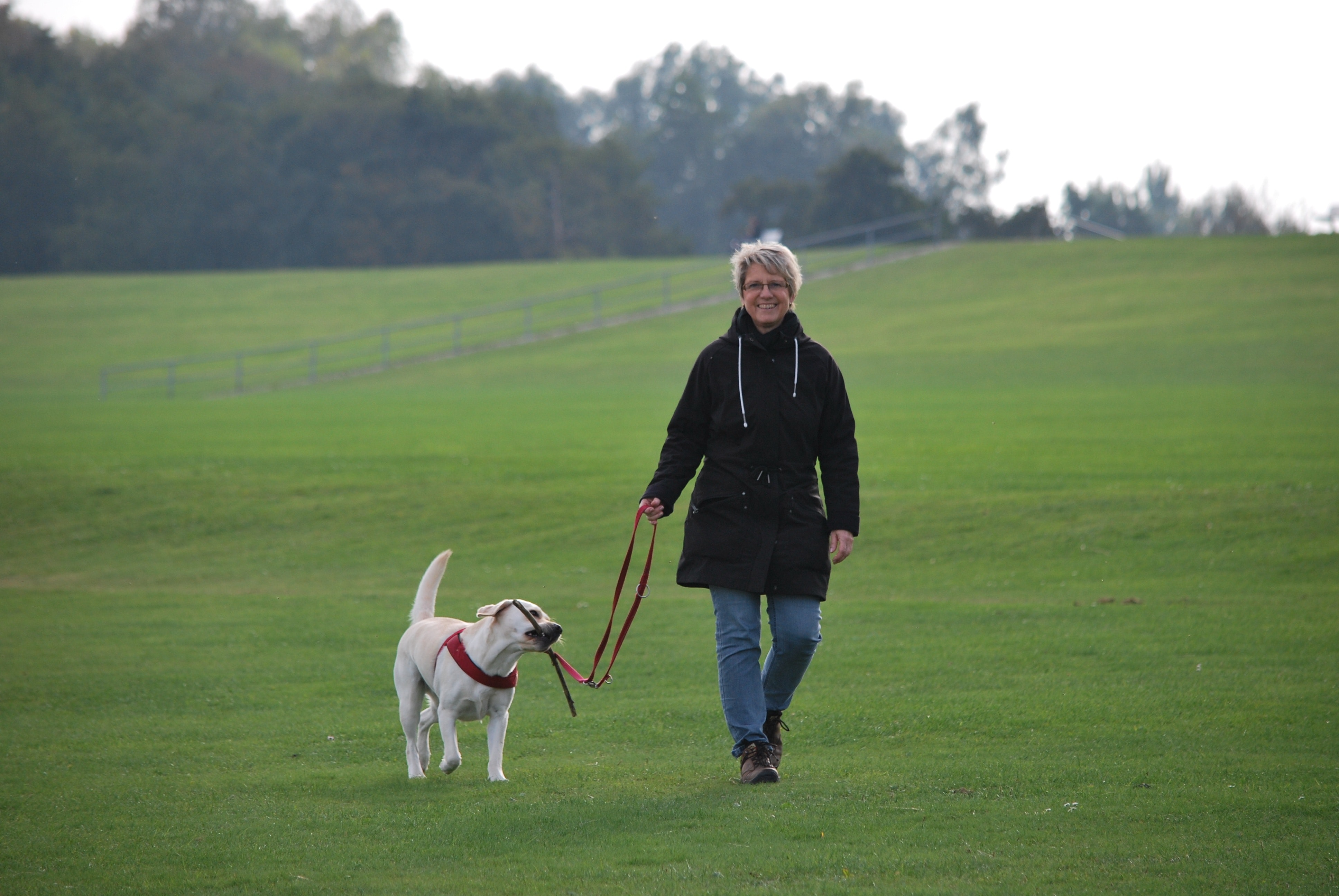 Making for Happier Dog Walks through Your Pilates Practice - Do